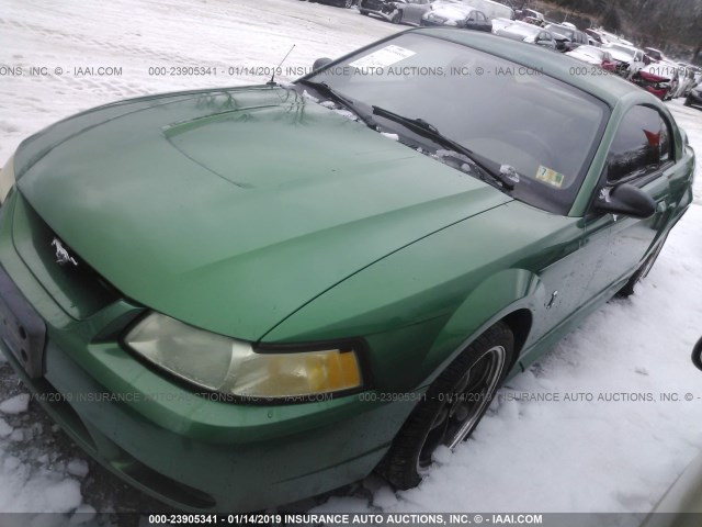 1FAFP47V4XF183883 - 1999 FORD MUSTANG COBRA SVT GREEN photo 2