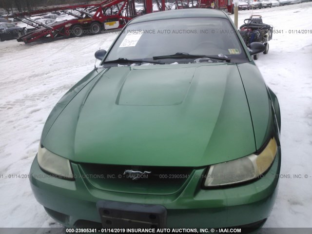 1FAFP47V4XF183883 - 1999 FORD MUSTANG COBRA SVT GREEN photo 6