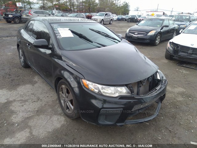 KNAFU6A24B5355967 - 2011 KIA FORTE EX BLACK photo 1