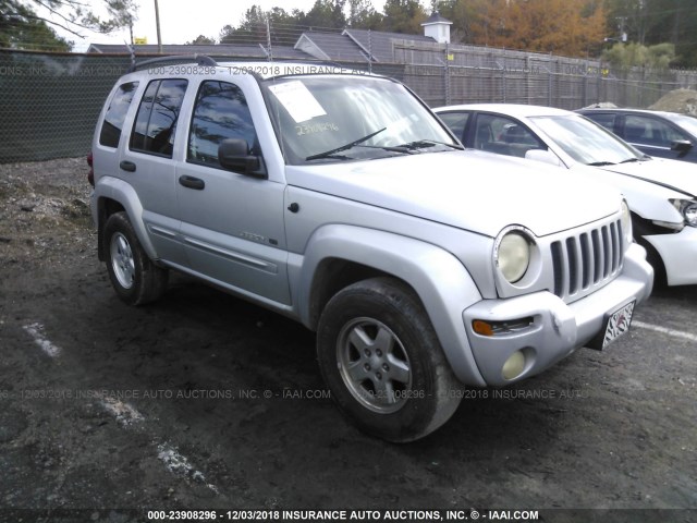 1J4GK58K62W123677 - 2002 JEEP LIBERTY LIMITED GRAY photo 1