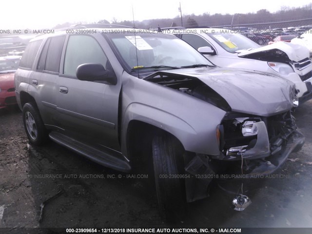 1GNDS13S062162701 - 2006 CHEVROLET TRAILBLAZER LS/LT GRAY photo 1