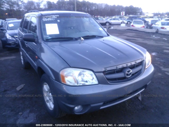 4F2YU08182KM51950 - 2002 MAZDA TRIBUTE LX/ES GRAY photo 6