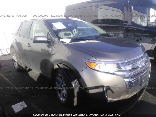 2FMDK4JC6CBA41825 - 2012 FORD EDGE SEL GRAY photo 1