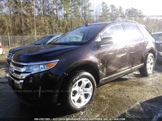 2FMDK4JC8EBB34364 - 2014 FORD EDGE SEL BROWN photo 2