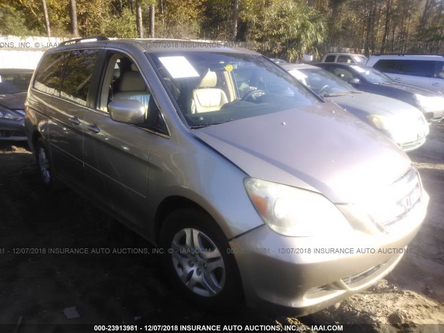 5FNRL38645B417705 - 2005 HONDA ODYSSEY EXL BROWN photo 1