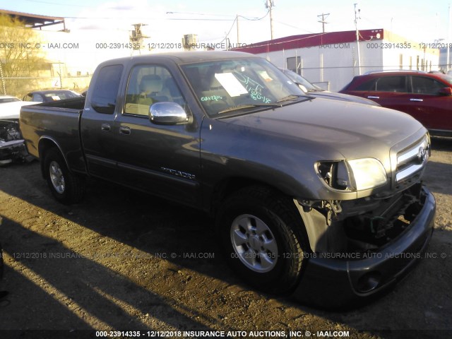 5TBRT34155S466264 - 2005 TOYOTA TUNDRA ACCESS CAB SR5 GRAY photo 1