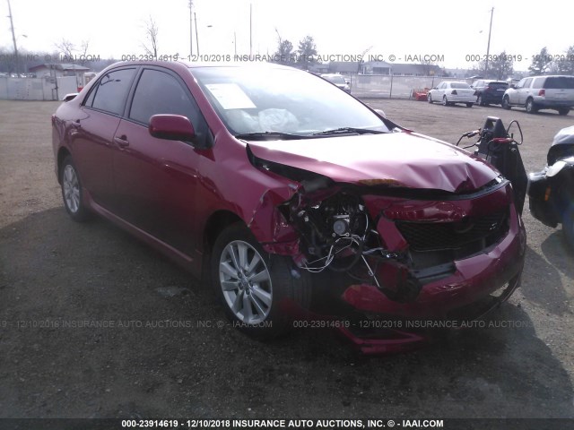 1NXBU4EE5AZ382413 - 2010 TOYOTA COROLLA S/LE/XLE RED photo 1