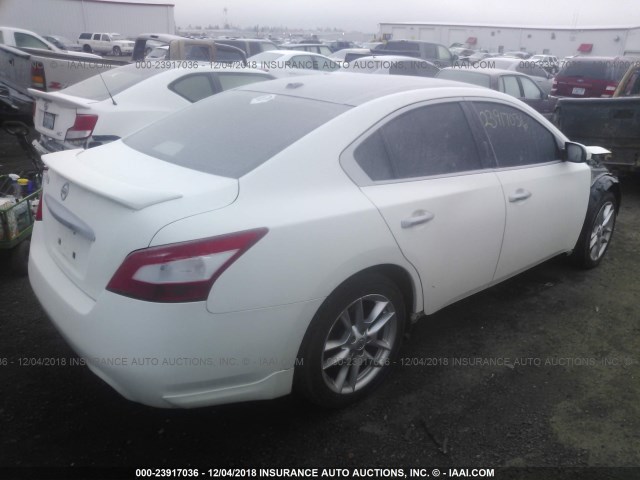 1N4AA5AP2BC851430 - 2011 NISSAN MAXIMA S/SV WHITE photo 4