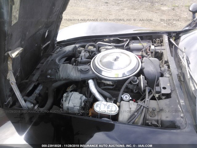 1G1AY8763BS412256 - 1981 CHEVROLET CORVETTE BLACK photo 10
