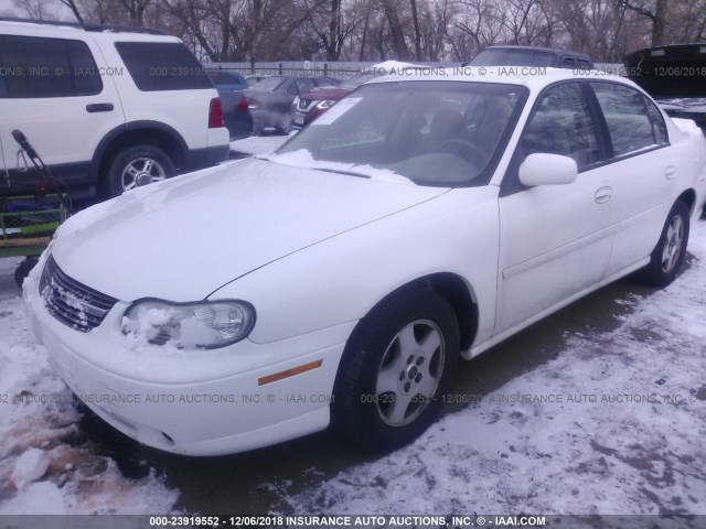 1G1NE52J83M636407 - 2003 CHEVROLET MALIBU LS WHITE photo 2