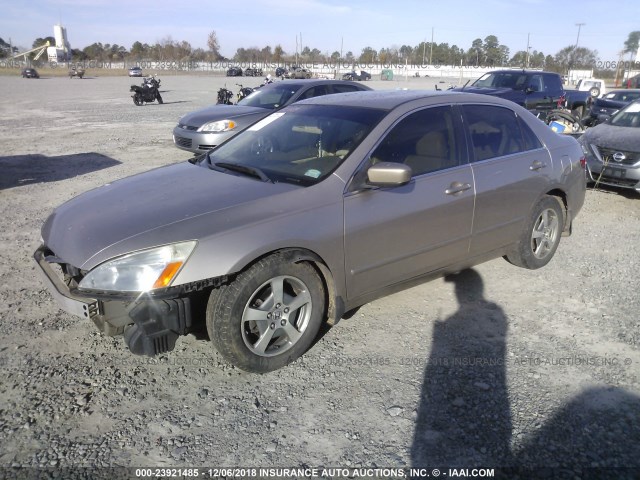 JHMCN36465C005847 - 2005 HONDA ACCORD HYBRID GOLD photo 2