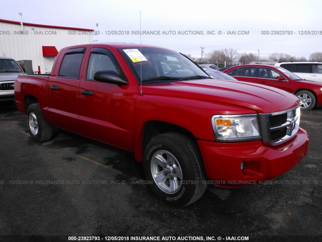 1D7HE48N78S626226 - 2008 DODGE DAKOTA QUAD SLT RED photo 1