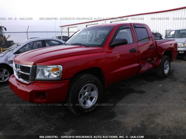 1D7HE48N78S626226 - 2008 DODGE DAKOTA QUAD SLT RED photo 2