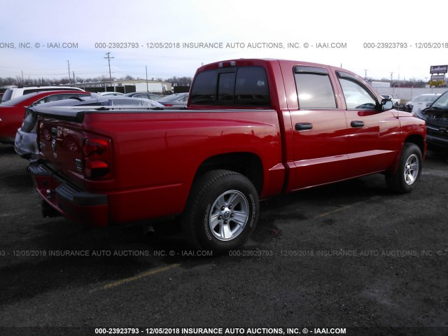 1D7HE48N78S626226 - 2008 DODGE DAKOTA QUAD SLT RED photo 4