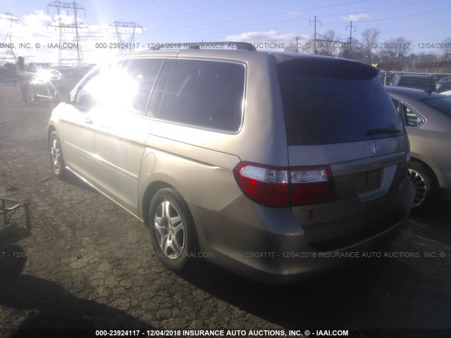 5FNRL38715B121565 - 2005 HONDA ODYSSEY EXL GOLD photo 3