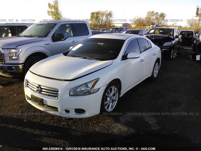 1N4AA5AP4CC816549 - 2012 NISSAN MAXIMA S/SV WHITE photo 2