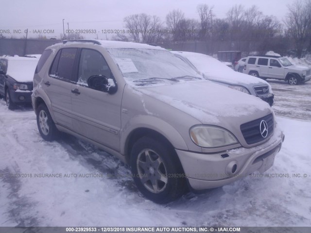 4JGAB54E61A256796 - 2001 MERCEDES-BENZ ML 320 GOLD photo 1