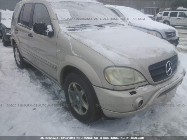 4JGAB54E61A256796 - 2001 MERCEDES-BENZ ML 320 GOLD photo 6