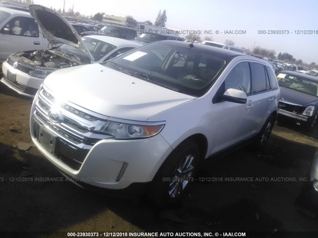 2FMDK3J97DBB17987 - 2013 FORD EDGE SEL WHITE photo 2