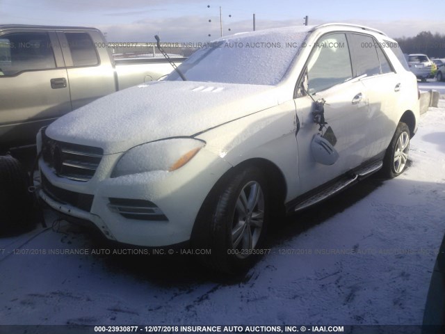 4JGDA5HB9DA175814 - 2013 MERCEDES-BENZ ML 350 4MATIC WHITE photo 2