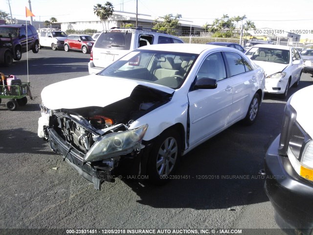 JTNBB46K983047259 - 2008 TOYOTA CAMRY HYBRID WHITE photo 2