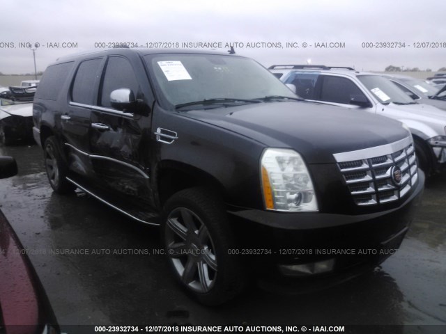 1GYFK66877R249433 - 2007 CADILLAC ESCALADE ESV BLACK photo 1