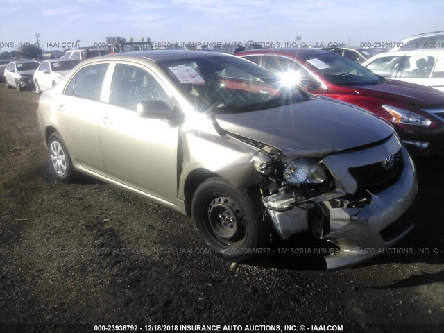 1NXBU40E39Z145891 - 2009 TOYOTA COROLLA S/LE/XLE GOLD photo 1