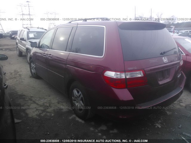 5FNRL387X5B049037 - 2005 HONDA ODYSSEY EXL RED photo 3