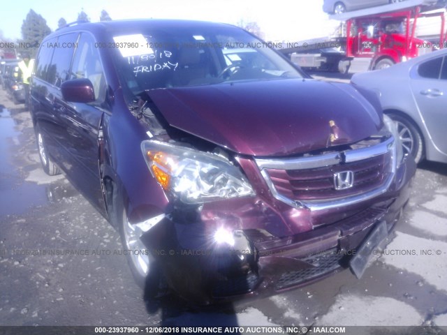 5FNRL386X8B419494 - 2008 HONDA ODYSSEY EXL BURGUNDY photo 1