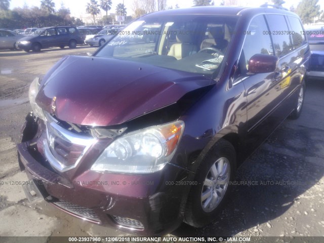 5FNRL386X8B419494 - 2008 HONDA ODYSSEY EXL BURGUNDY photo 2