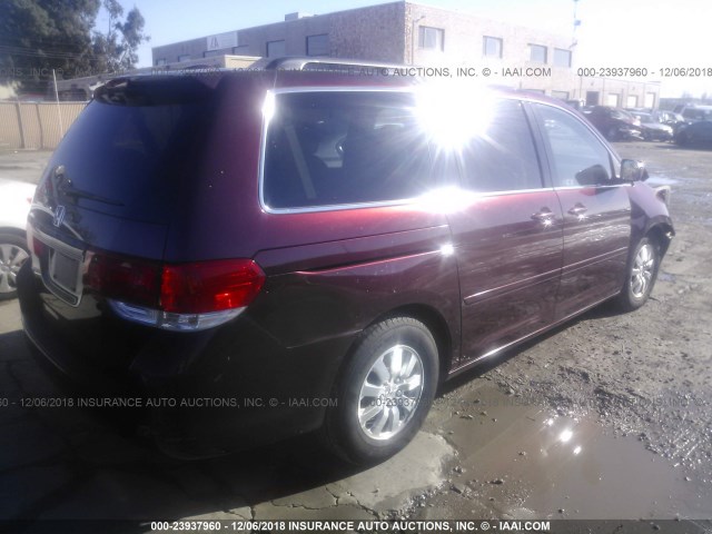 5FNRL386X8B419494 - 2008 HONDA ODYSSEY EXL BURGUNDY photo 4