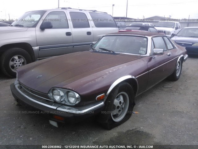 SAJNV5841FC122483 - 1985 JAGUAR XJS MAROON photo 2