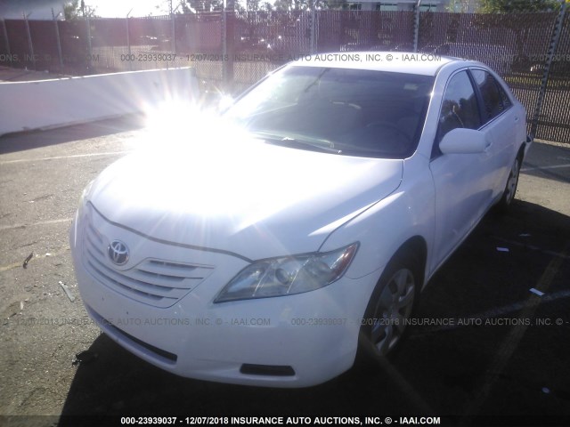 4T4BE46K09R090302 - 2009 TOYOTA CAMRY SE/LE/XLE 白色 照片 2