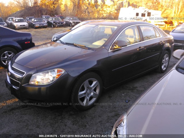 1G1ZB5E12BF344342 - 2011 CHEVROLET MALIBU LS ნაცრისფერი ფოტო 2