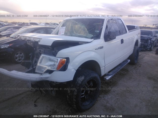 1FTFX1EF5DKE81446 - 2013 FORD F150 SUPER CAB WHITE photo 2