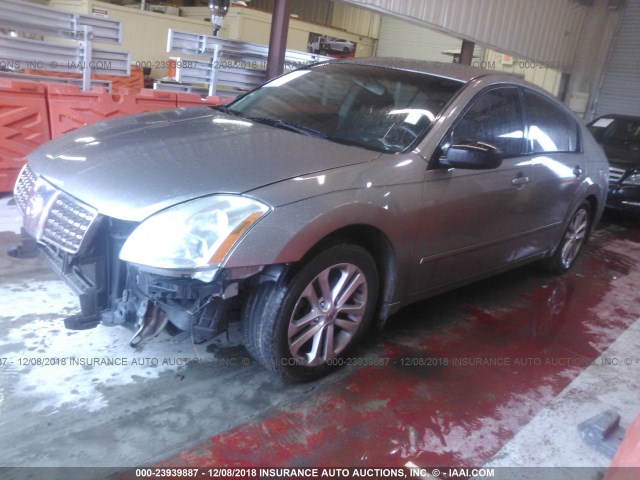 1N4BA41E96C816211 - 2006 NISSAN MAXIMA SE/SL TAN photo 2