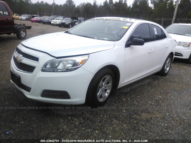 1G11B5SA3DF358920 - 2013 CHEVROLET MALIBU LS 白色 照片 2