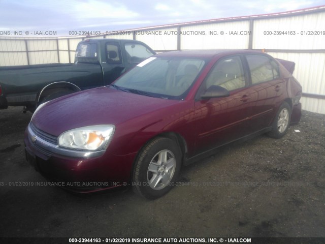 1G1ZT52855F192415 - 2005 CHEVROLET MALIBU LS 红色 照片 2