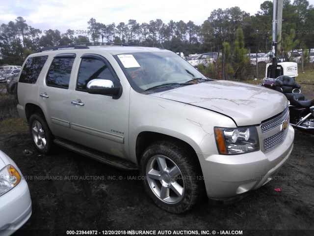 1GNSCAE00DR140105 - 2013 CHEVROLET TAHOE C1500  LS Champagne photo 1