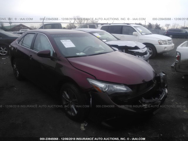 4T1BF1FK9GU534487 - 2016 TOYOTA CAMRY LE/XLE/SE/XSE RED photo 1