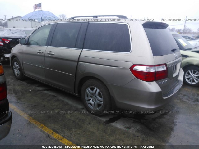 5FNRL38646B435221 - 2006 HONDA ODYSSEY EXL TAN photo 3