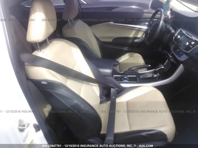 1HGCT1B83DA006406 - 2013 HONDA ACCORD EXL WHITE photo 5