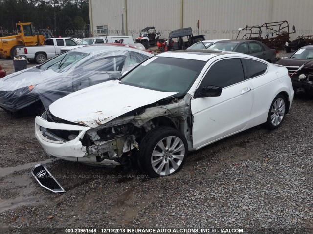 1HGCS228X8A002982 - 2008 HONDA ACCORD WHITE photo 2