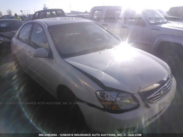 KNAFE122485574998 - 2008 KIA SPECTRA EX/LX/SX WHITE photo 1