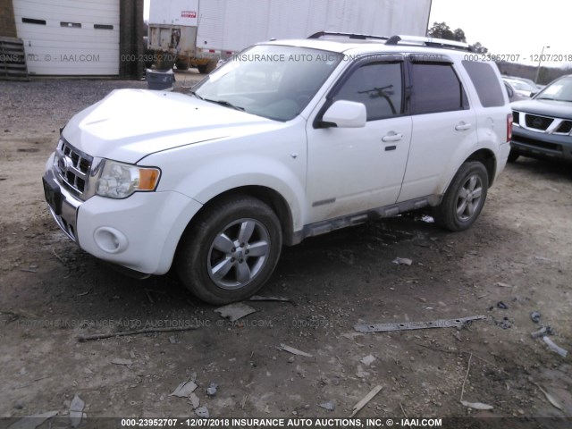 1FMCU04178KC07372 - 2008 FORD ESCAPE LIMITED WHITE photo 2