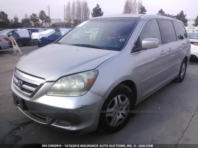 5FNRL38745B116487 - 2005 HONDA ODYSSEY EXL SILVER photo 2