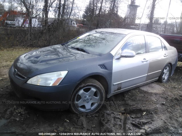 JHMCN36526C002230 - 2006 HONDA ACCORD HYBRID Champagne photo 2