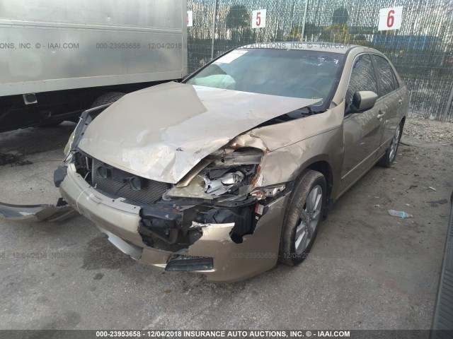 1HGCM66576A017535 - 2006 HONDA ACCORD GOLD photo 2