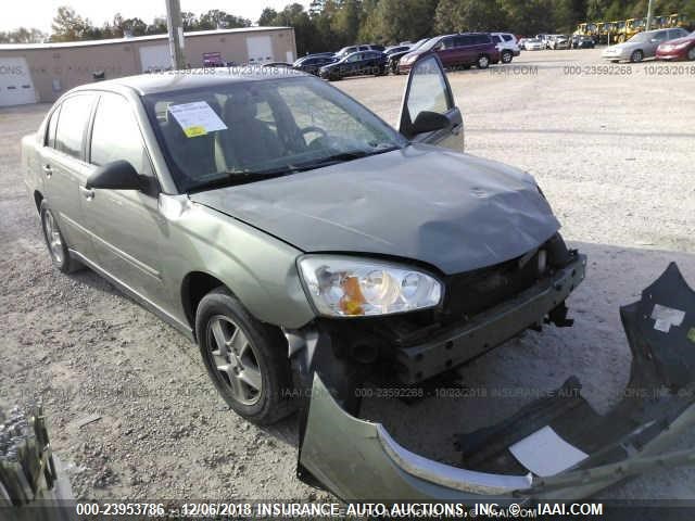 1G1ZT54875F204254 - 2005 CHEVROLET MALIBU LS 绿色 照片 1