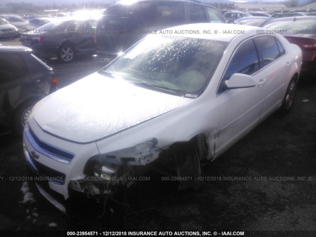1G1ZC5EB1AF136800 - 2010 CHEVROLET MALIBU 1LT WHITE photo 2